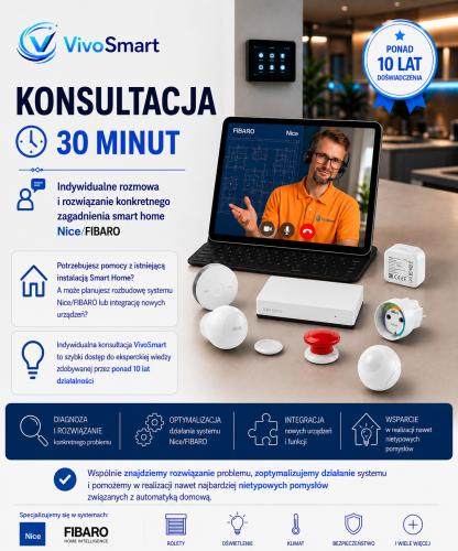 Grafika konsultacja 30 min.png