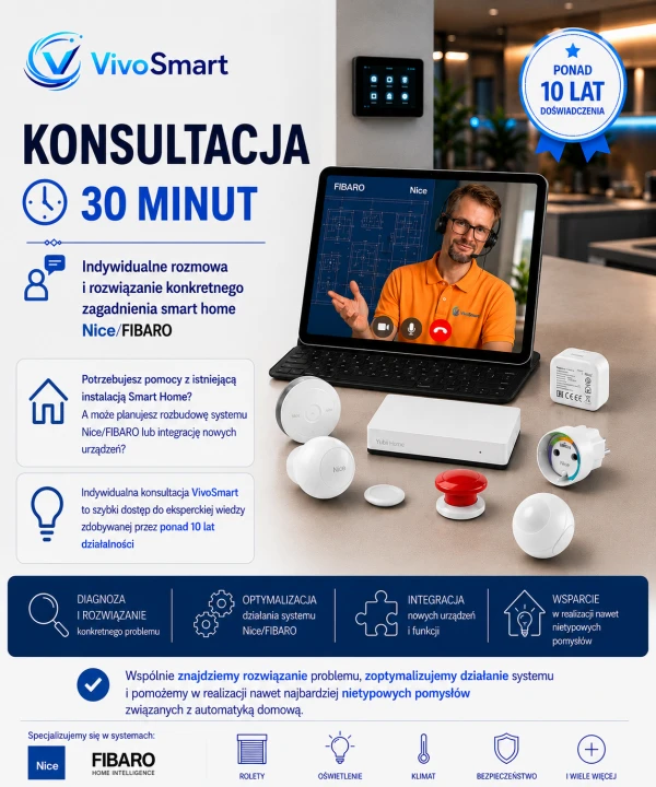 Grafika konsultacja 30 min.png